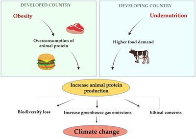 The role of algae, fungi, and insect-derived proteins and bioactive peptides in preventive and clinical nutrition